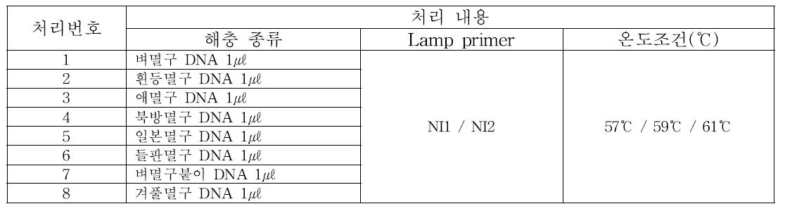 여러 가지 Lamp primer와 온도조건의 변화에 따른 PCR 진행