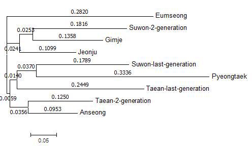 멸강나방 지역 개체군간 계통수