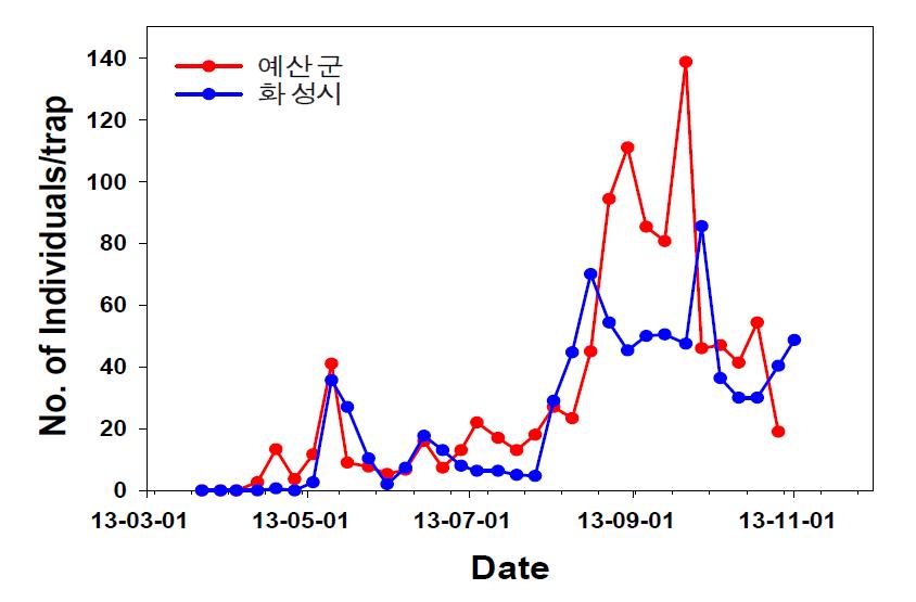 톱다리개미허리노린재 시기별 발생 밀도