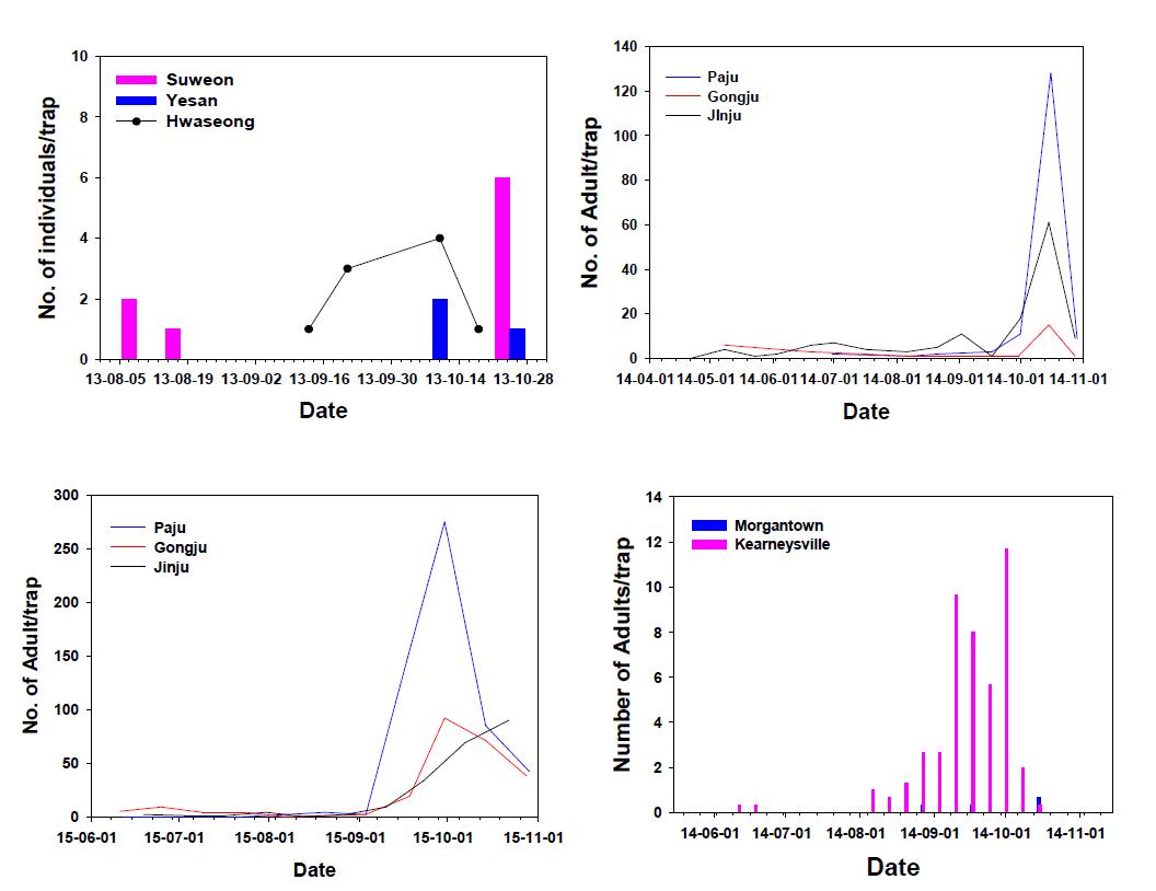 썩덩나무노린재 시기별 발생 밀도 변동
