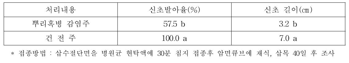 삽목시 뿌리혹병 감염이 장미 발아 및 초기생육에 미치는 영향