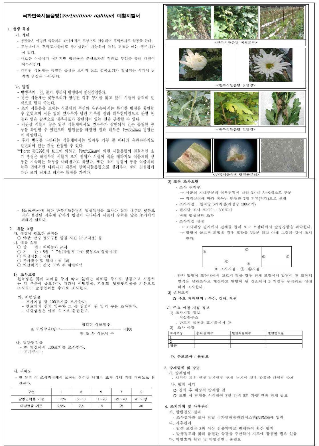 국화 반쪽시들음병 예찰 지침서 작성