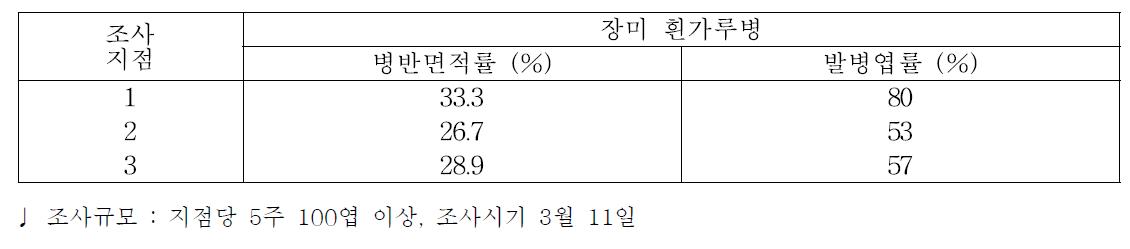 조사방법에 따른 장미 흰가루병 발생 비교