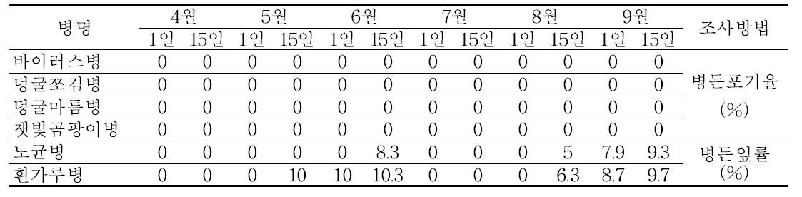 춘천지역 오이 병해 발생상황(2013년)