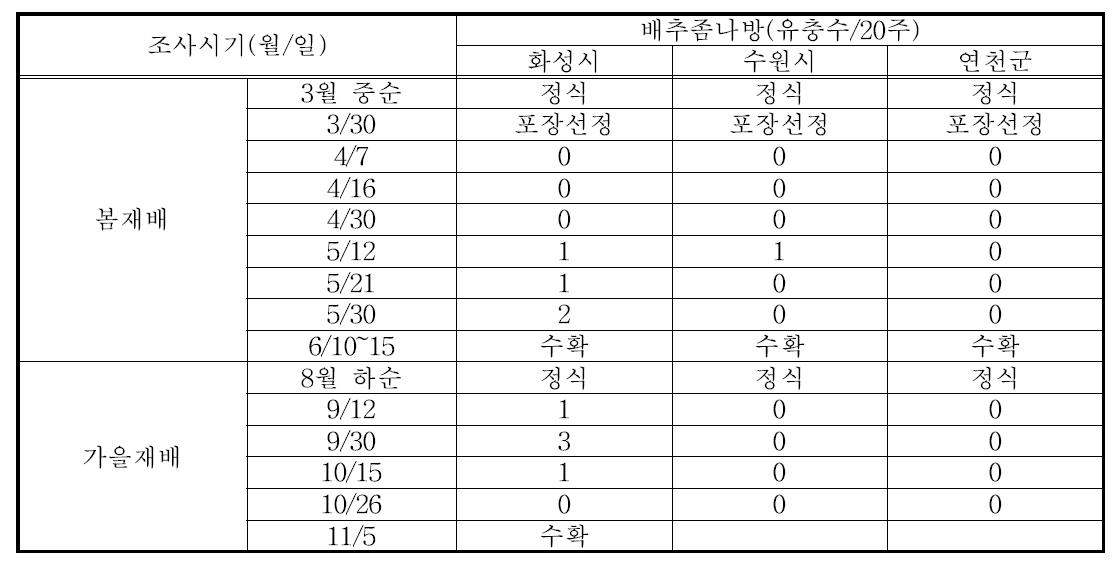 경기지역 배추포장에서 배추좀나방 시기별 발생현황(2013)