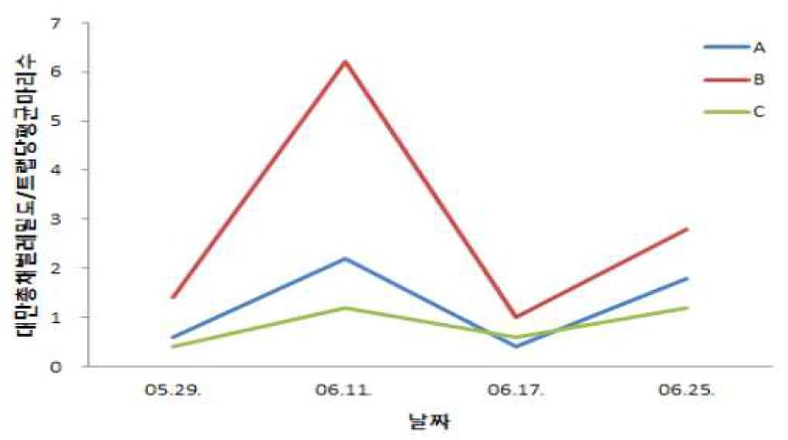 청색끈끈이트랩에 유살된 국화 대만총채벌레 평균마리수(2013)