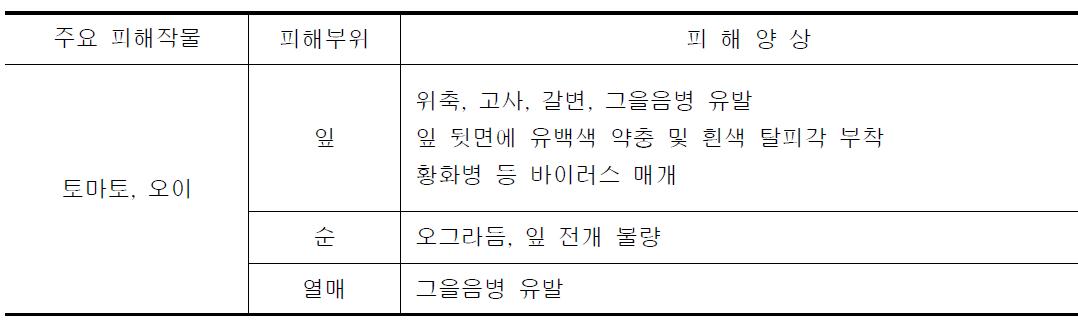 온실가루이의 피해부위 및 피해양상