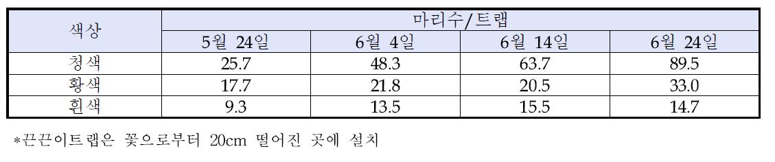 국화에서 끈끈이트랩 색상별 꽃노랑총채벌레 발생밀도(2013년)