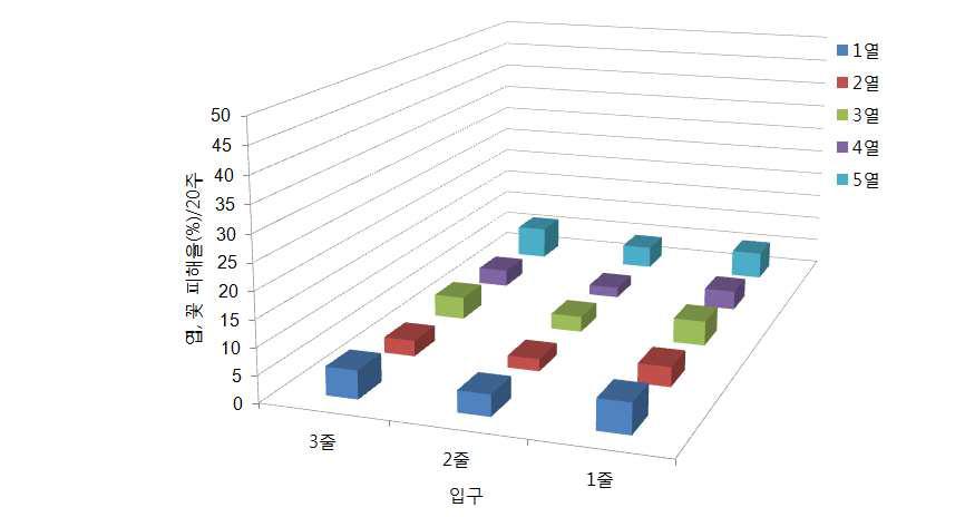 국화 꽃노랑총채벌레 피해율 비교(2013년 6월 4일)