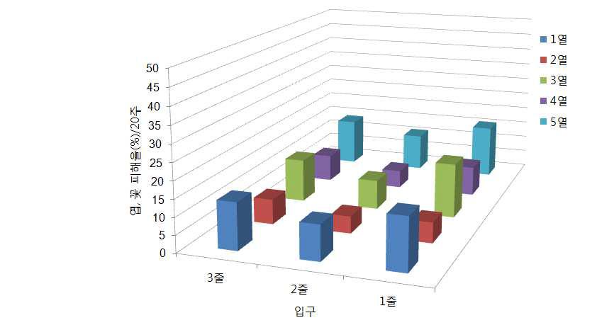 국화 꽃노랑총채벌레 피해율 비교(2013년 6월 24일)