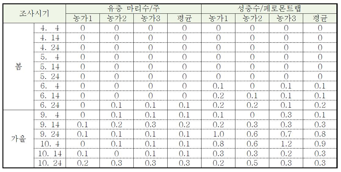 2013년도 국화 재배포장의 파밤나방 시기별 발생량(태안)