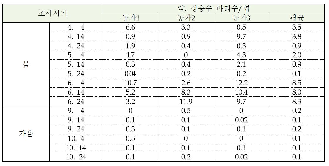 2013년도 장미 재배포장의 점박이응애 시기별 발생량(태안)