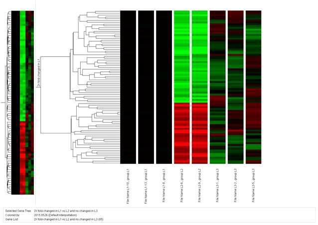 Microarray 유전자 clustering