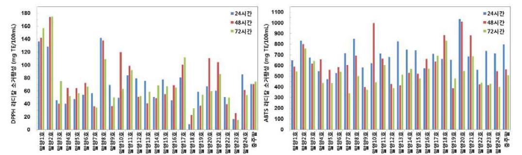 발효시간별 발효음료 에탄올 추출물의 DPPH와 ABTS radical 소거활