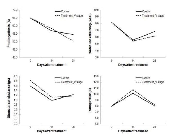 Changes of mean photosyntetic characteristics of three soybeans under drought treatment at vegetative growth stage