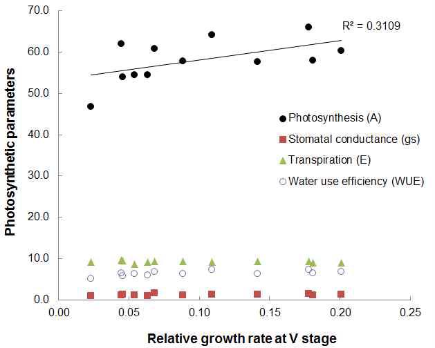 Relationships between mean relative growth rate and the mean photosynthetic characteristics of three soybeans under drought treatment