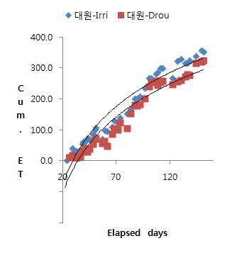 콩 재배기간 중 대원 콩의 누적 증발산량