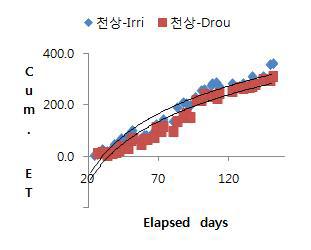 콩 재배기간 중 천상 콩의 누적 증발산량