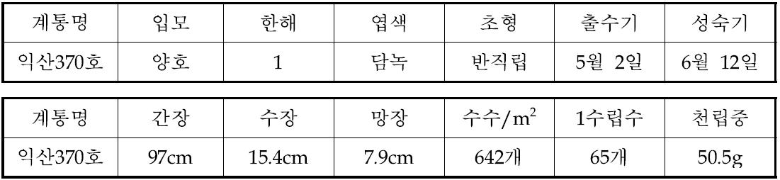 Giant head 익산370호의 주요 농업적 특성