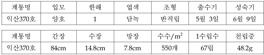 Giant head 익산370호 증식의 주요 농업적 특성