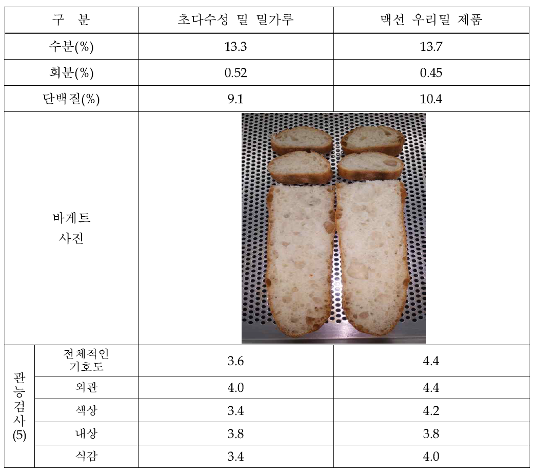 초다수성 밀과 상업용 우리밀 제품의 바게트 가공 적성 평가 결과
