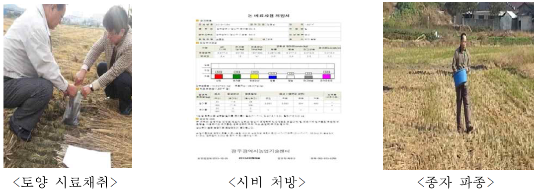 2013년～2014년 초다수성밀 채종단지의 시비 및 파종 자료