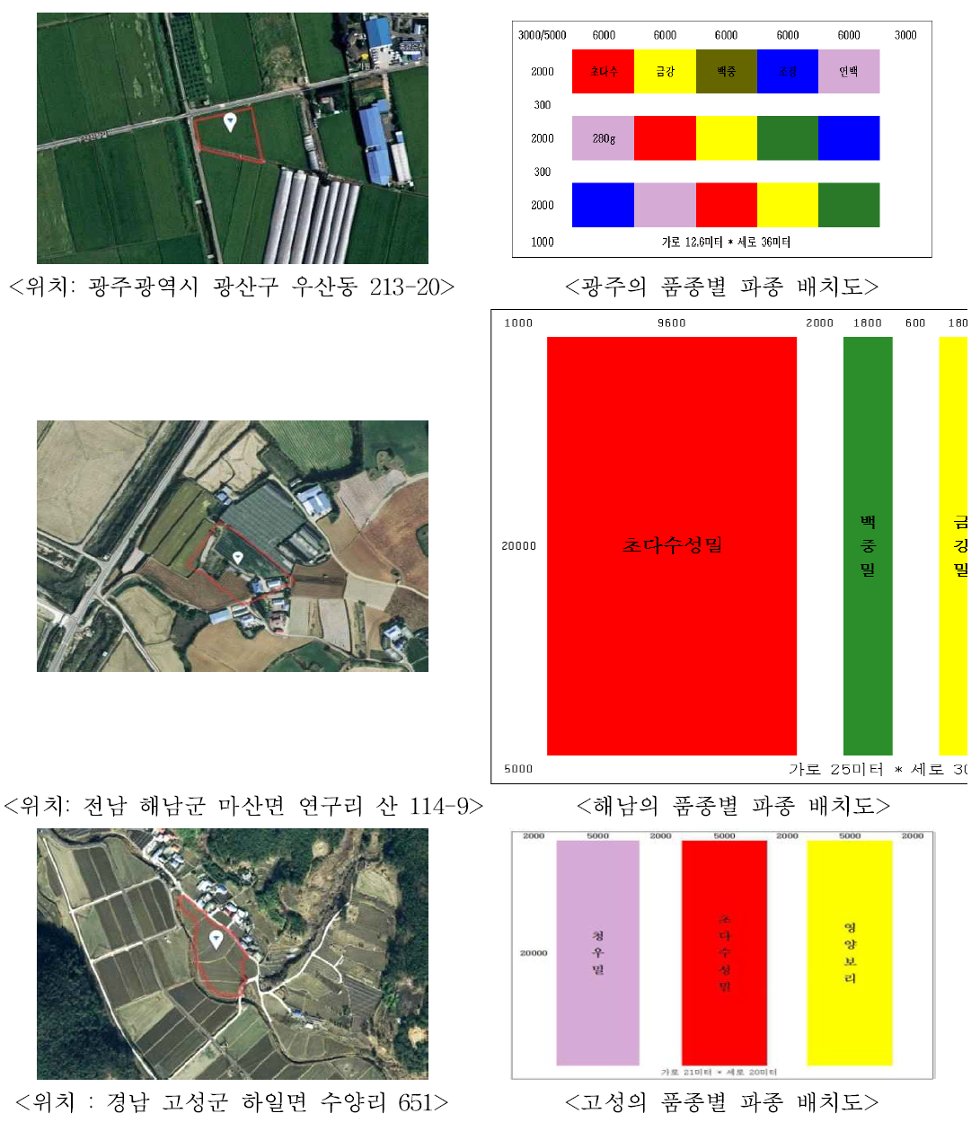 2013～2014년 초다수성밀 재배 농가현장 실증단지 및 파종배치도 자료