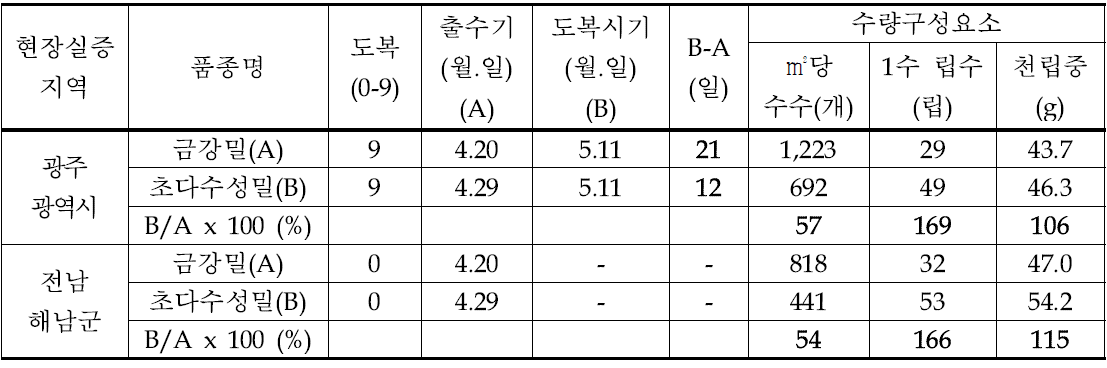 2014년 광주광역시와 전남 해남군에서의 금강밀/초다수성밀의 수량구성요소 비교