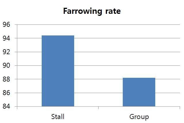 스톨사육 시스템과 군사사육시스템에 따른 분만율 비교