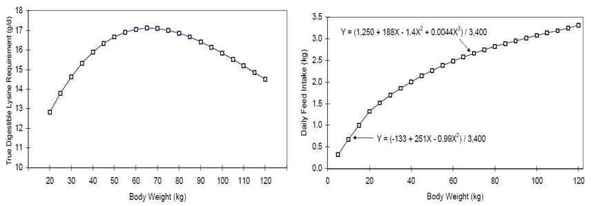 체성장률에 따른 라이신 요구량과 사료섭취량