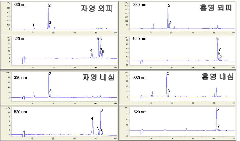 홍영, 자영 정량분석을 위한 HPLC 크로마토그램