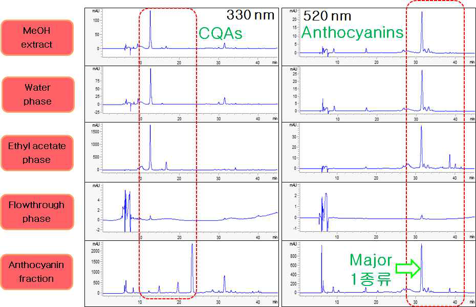 홍영 추출물 및 분획물의 HPLC 크로마토그램