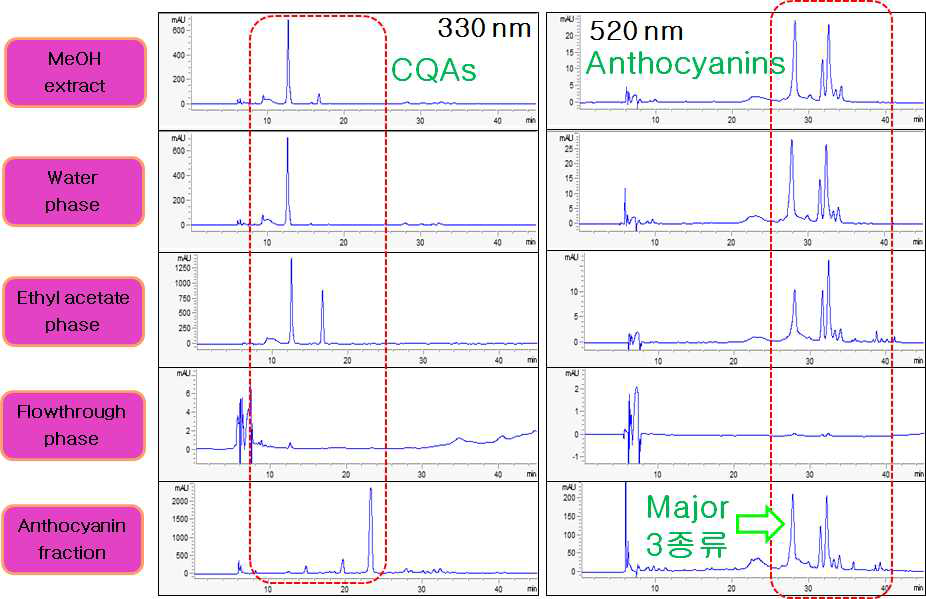 자영 추출물 및 분획물의 HPLC 크로마토그램