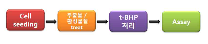 산화스트레스에 의한 세포보호 활성 연구 추진 개요