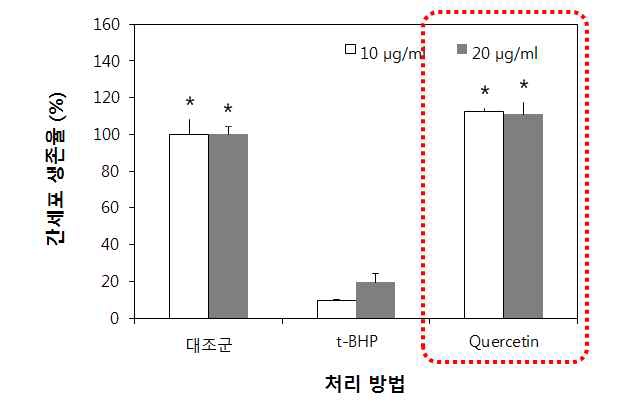 양성대조군(quercetin)의 간세포 사멸 억제효과