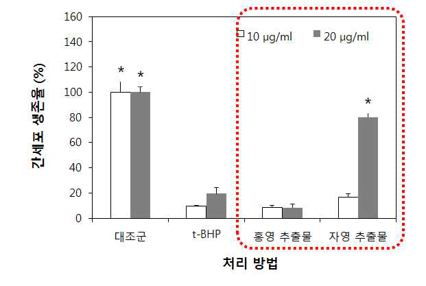 홍영, 자영 추출물의 간세포 사멸 억제효과