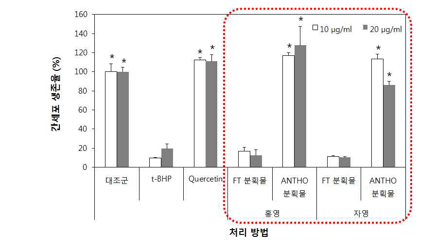 FT, anthocyanin 분획물의 간세포 사멸 억제효과