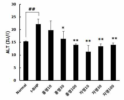 t-BHP 처리 동물모델에서 홍영, 자영 안토시아닌 분획물의 ALT 분석