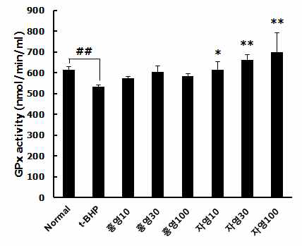 t-BHP 처리 동물모델에서 홍영, 자영 안토시아닌 분획물의 GPx 분석