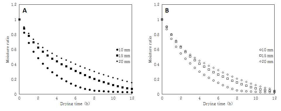 두께에 따른 건조속도의 차이(60°C) (A) 자영, (B) 홍영