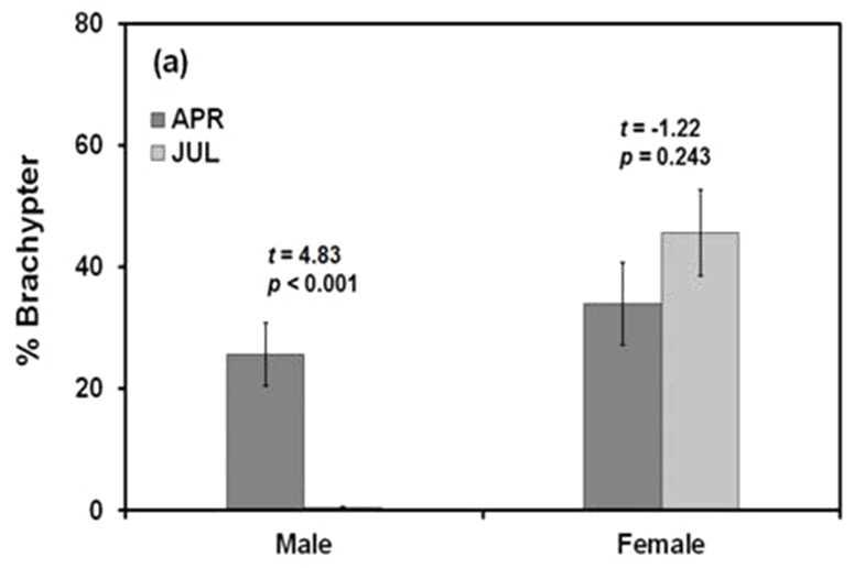 채집시기에 따른 애멸구 암컷과 수컷의 단시형 비율 (mean±SE)