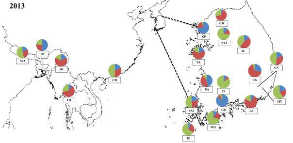 파이 차트로 나타낸 2013년 국내외 흰등멸구 개체군의 유전적 구조