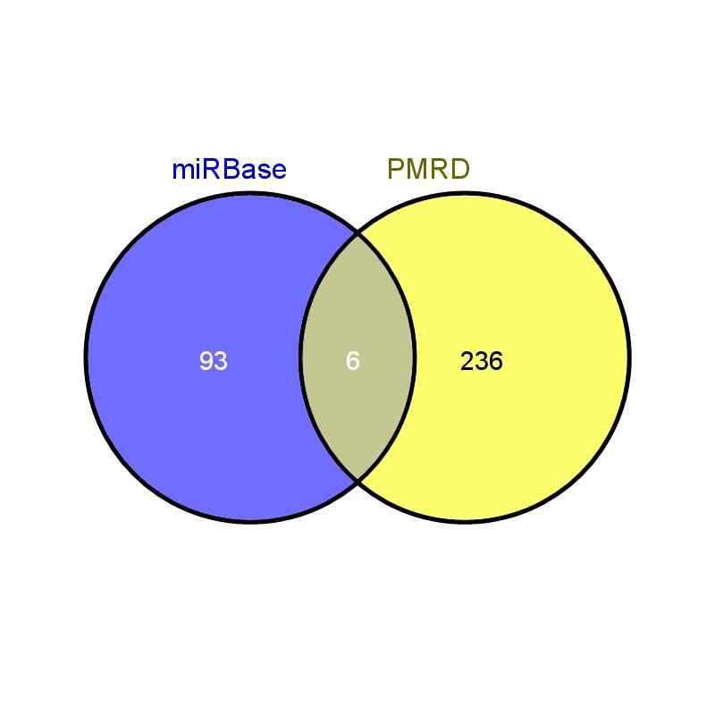 miRBase와 PMRD 두 데이터 베이스에서 동정된 miRNA의 수 비교.