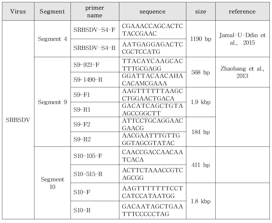 SRBSDV 진단용 프라이머 세트