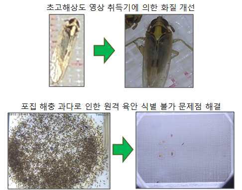 스마트 포집 해충 영상 화질의 개선