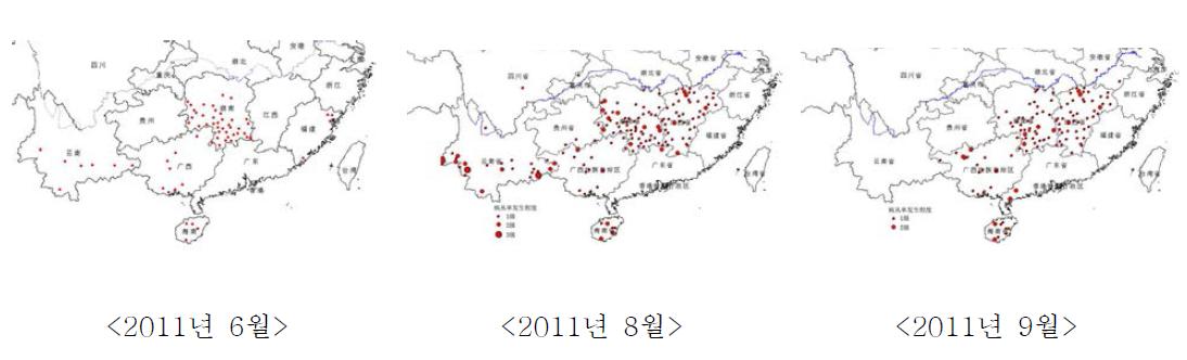시기별 중국남부지역의 남부검은줄오갈병 발생 상황