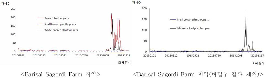 2013년 벼멸구, 애멸구, 흰등멸구 유아등 조사 순별 개체수 변동(Barisal Sagordi Farm 지역)