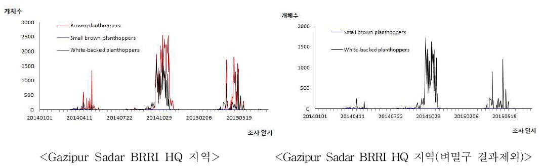 2014~2015년 벼멸구, 애멸구, 흰등멸구 유아등 조사 순별 개체수 변동(Gazipur Sadar BRRI HQ 지역)