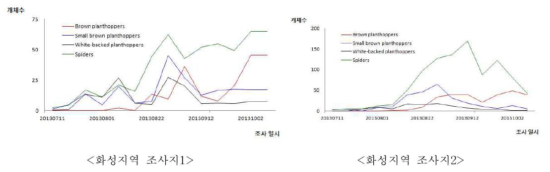 2013년 벼멸구, 애멸구, 흰등멸구 끈끈이카드 조사 개체수 변동 (경기, 화성 지역)