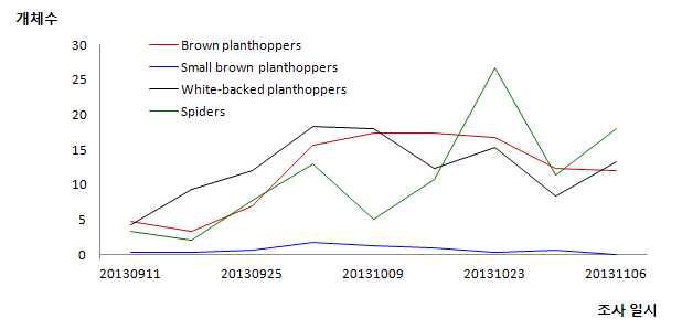 2013년 벼멸구, 애멸구, 흰등멸구 끈끈이 카드 조사 개체수 변동(Tarash Vogolman 지역)